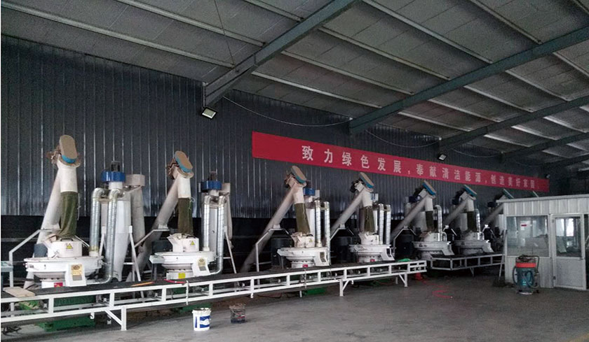 Jiangsu 10th Wood Pellet Production Line