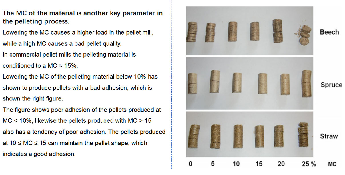 5. Biomass Pellets Standard