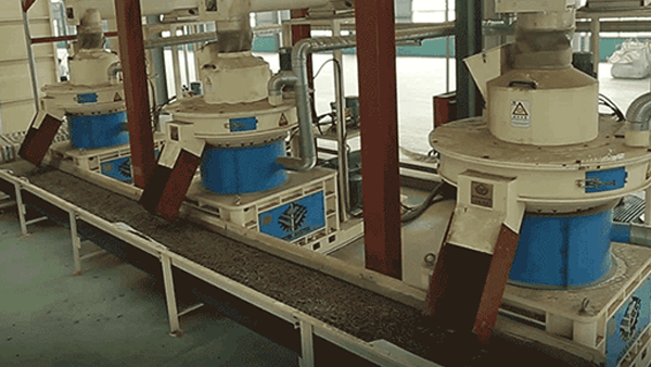 Jiangsu 100,000 tons annual output straw wood pellet production line by rotexmaster