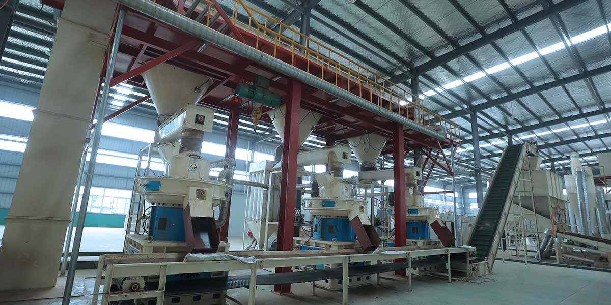 Jiangsu 100,000 tons annual output straw wood pellet production line by rotexmaster