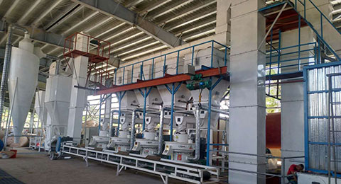 Biomass pellet production line analysis -- 8 tons of palm silk pellet production line in Philippines