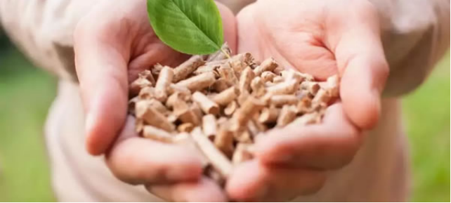 Survey report on biomass pellet raw materials in Malaysia