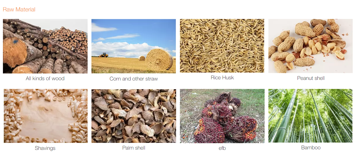 Survey report on biomass pellet raw materials in Malaysia