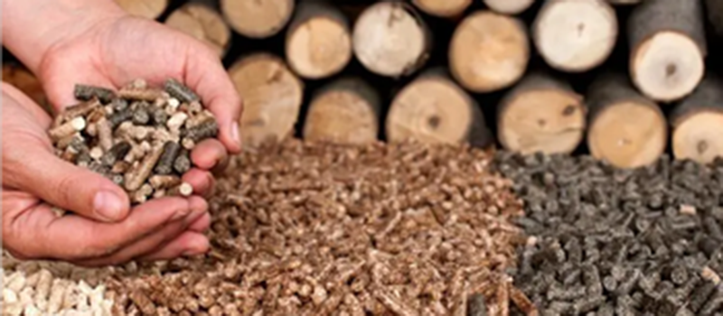 Survey report on biomass pellet raw materials in Thailand