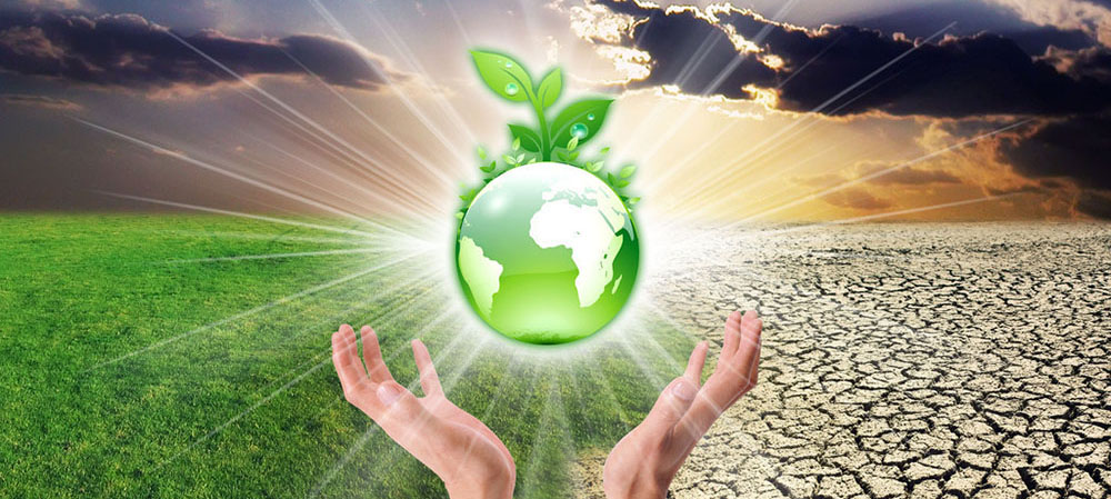 Biomass Pellet Machine: Turning Waste into Clean Energy Biomass Pellet Machine: Turning Waste into Clean Energy