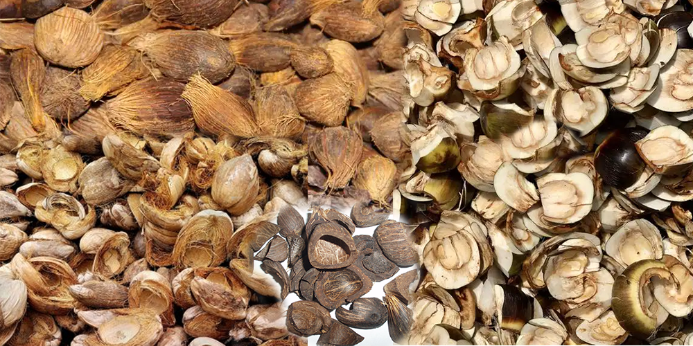 Palm Kernel Shell Pellet Production Line: Sustainable Biomass Energy Solution for Southeast Asia