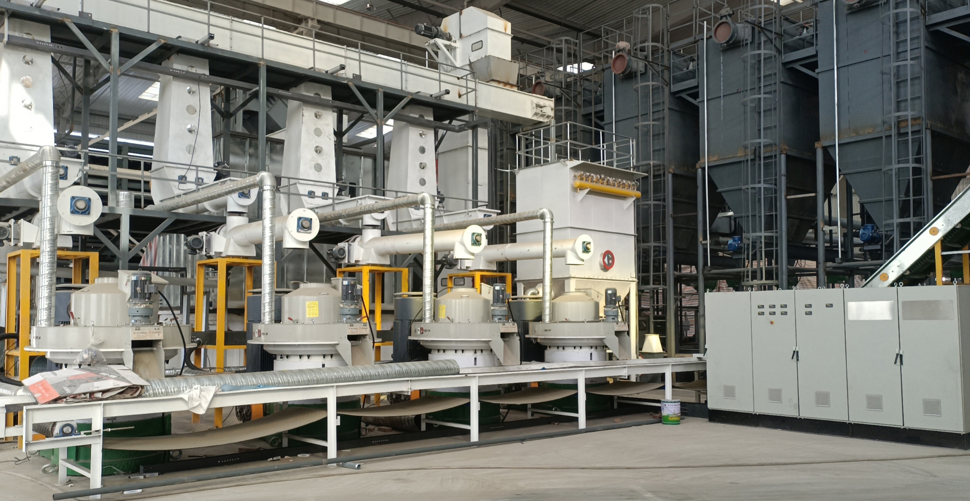 Palm Kernel Shell Pellet Production Line: Sustainable Biomass Energy Solution for Southeast Asia