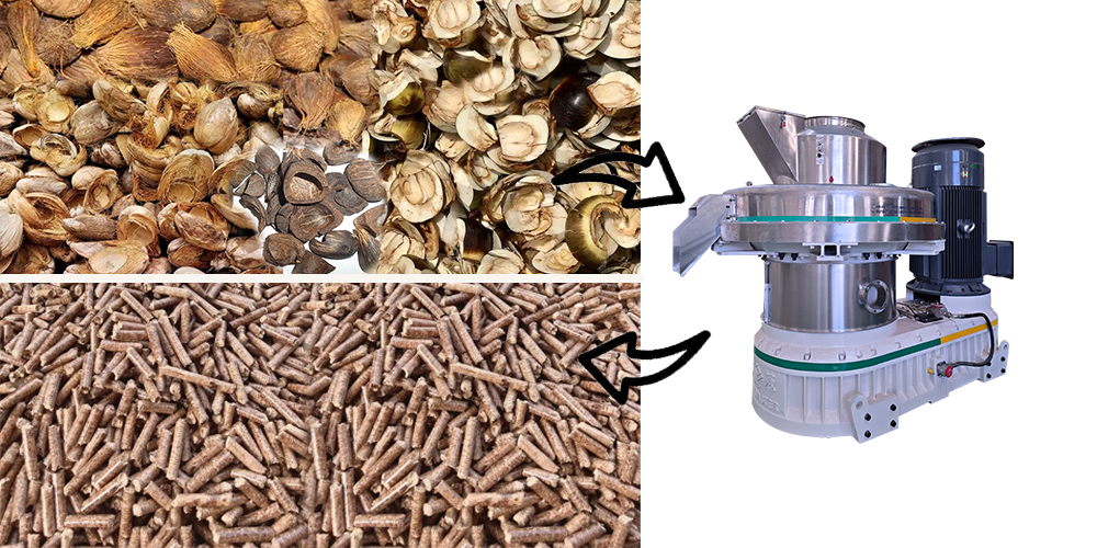 Palm Kernel Shell Pellet Production Line: Sustainable Biomass Energy Solution for Southeast Asia