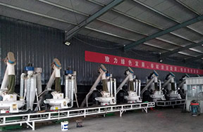 Jiangsu 10t/h wood pellet production line