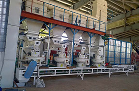 Indonesia 8t/h wood pellet production line