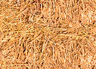 Straw
