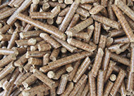 Wood pellet