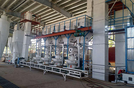 8 Tons of Palm Silk Pellet Production Line Per Hour in the Philippines