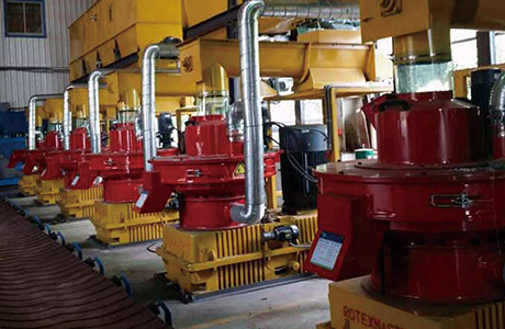 Taiwan's 10t/h Wood Pellet Production Line