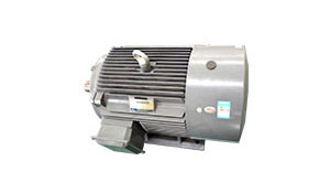 Feed Pellet Machine