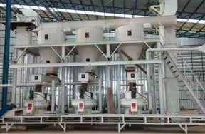 10t/h wood pellet production line in Thailand