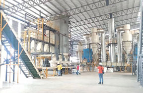 12t/h wood pellet production line in Malaysia