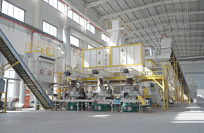Shanxi 10t/h sawdust pellet production line