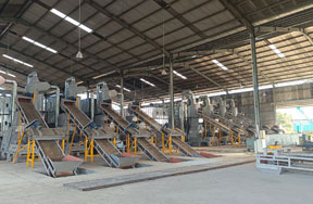 Indonesia 12t/h sawdust pellet production line