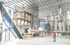Malaysia12t/h wood pellet production line in Malaysia